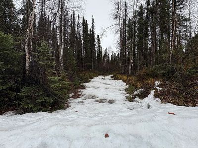 50775 S Silver Salmon Dr, Willow, AK, 99688
