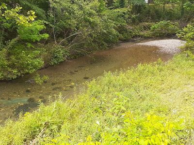 101 Goodeaux Rd, Lonsdale, AR, 72087