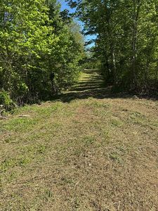 State Hwy 556, Sandy Hook, KY, 41171