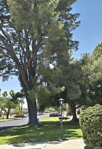 210 Cam Alameda, Green Valley, AZ, 85614