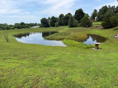 12606 Farm Rd 2195, Cassville, MO, 65625