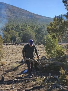 9736 N Stagecoach Dr, Williams, AZ, 86046