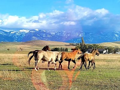 43010 Eli Gap Rd, Polson, MT, 59860