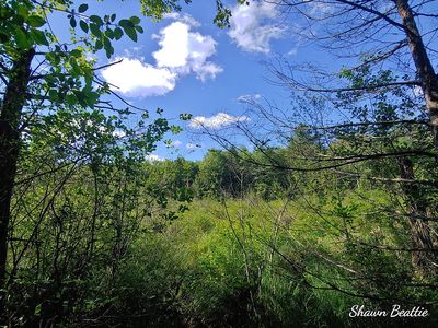 Rabbit Hollow Rd, Swanzey, NH, 03446