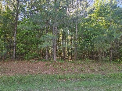 Eagle Nest Trail, Blounts Creek, NC, 27814