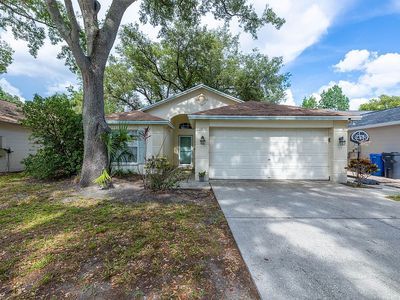 13538 Bellingham Dr, Tampa, FL, 33625