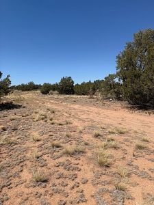 E Buffalo Rd, Valle, AZ, 86046