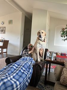595 W Rider Dr, Kanab, UT, 84741
