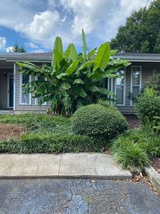 2509 Tantelon Pl, Winston-Salem, NC, 27127
