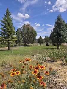 12997 Beaver Dam Rd, Caliente, NV, 89008