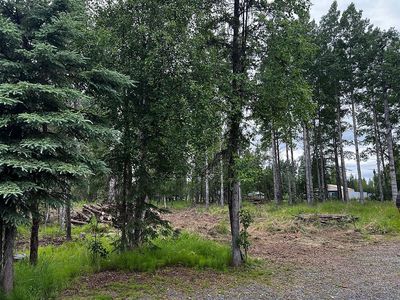 Ciechanski Rd, Kenai, AK, 99611