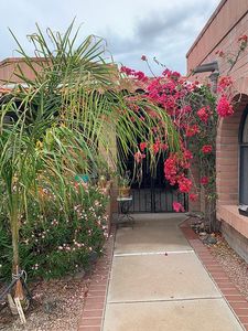 4869 N Vía Velazquez, Tucson, AZ, 85750