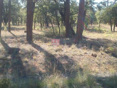 2220 Pine Crest Dr, Happy Jack, AZ, 86024