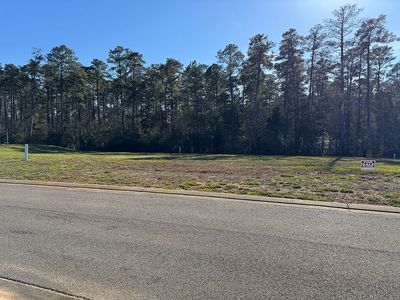 Forest Edge Dr, Woodworth, LA, 71485