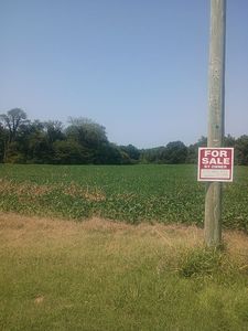 Co Rd 442, New Franklin, MO, 65274