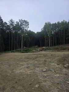 17 Sheila Ave, Chesterfield, NH, 03466