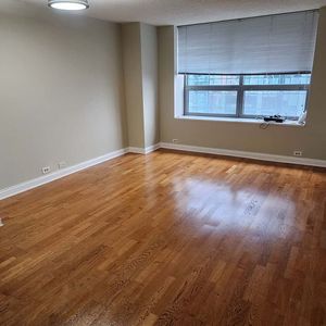 474 N Lake Shore Dr, Chicago, IL, 60611