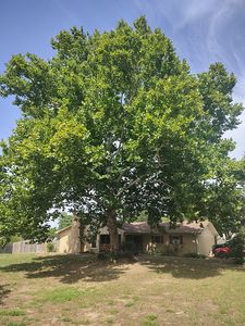 12785 County Rd 1222, Tyler, TX, 75709
