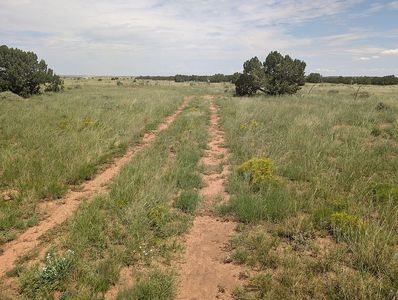 4325 Zeniff Rd, Heber, AZ, 85928