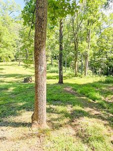 1138 Dotts Holw, Cairo, WV, 26337
