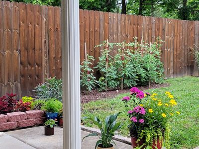 220 N 1st St, Danville, KY, 40422