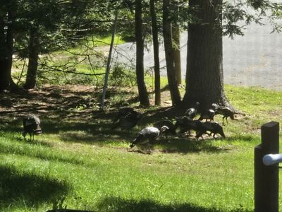 24 Pendleton Rd, Granby, CT, 06035
