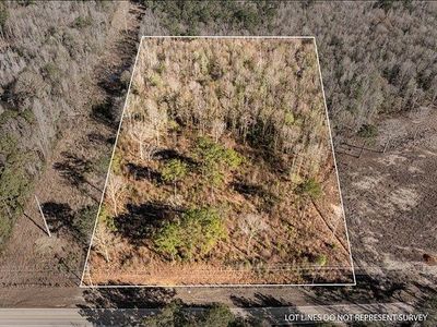 0 Lynn Ray Rd, Petal, MS, 39465