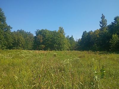 1899 Cavanaugh Rd, White Plains, KY, 42464