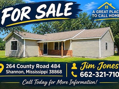 264 Co Rd 484, Shannon, MS, 38868