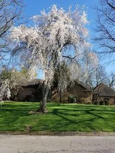 332 Golf Cart Dr, Mayfield, KY, 42066